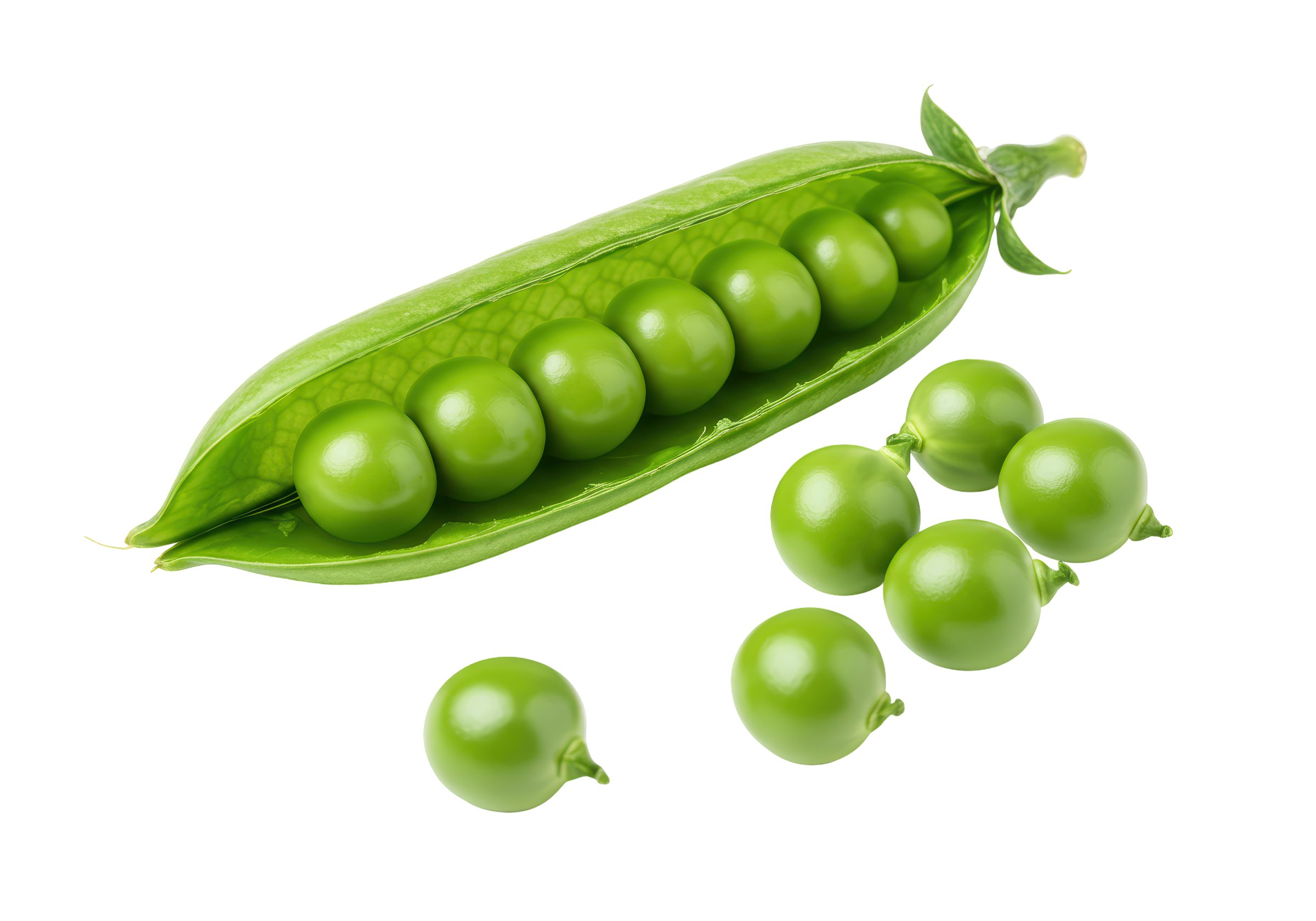 Isolated Vibrant Green Pea Pod with Shelled Peas