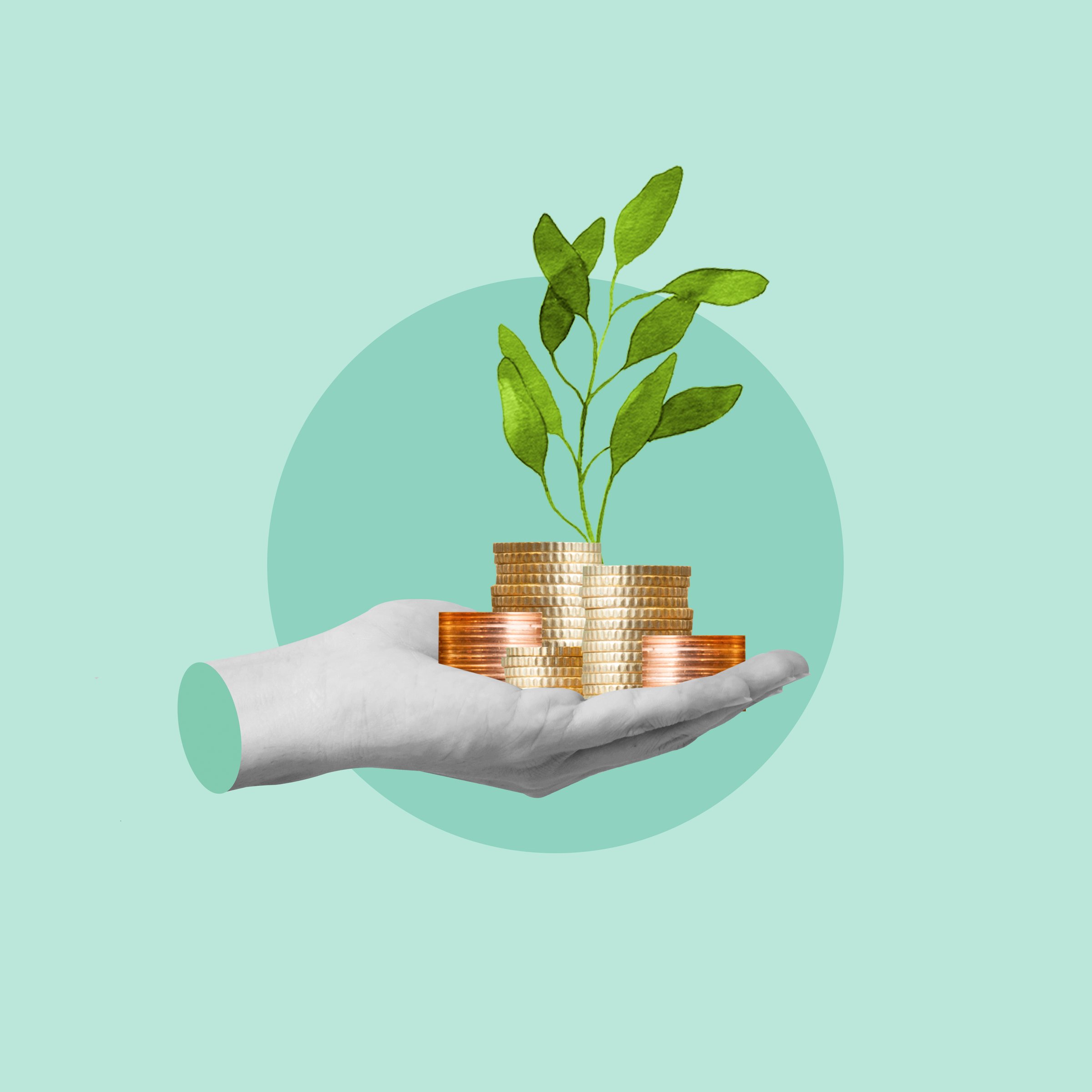 Plant, coins, money tree, Savings, Financial advisor, Calculator, Buy