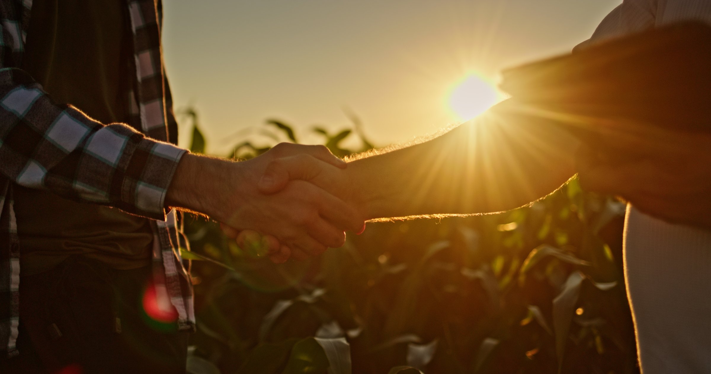 Two farmers stand in front of a cornfield, shaking hands as the sun sets behind them. The golden light casts a warm glow, highlighting the camaraderie and cooperation between the two. The scene captures the essence of partnership in agriculture.