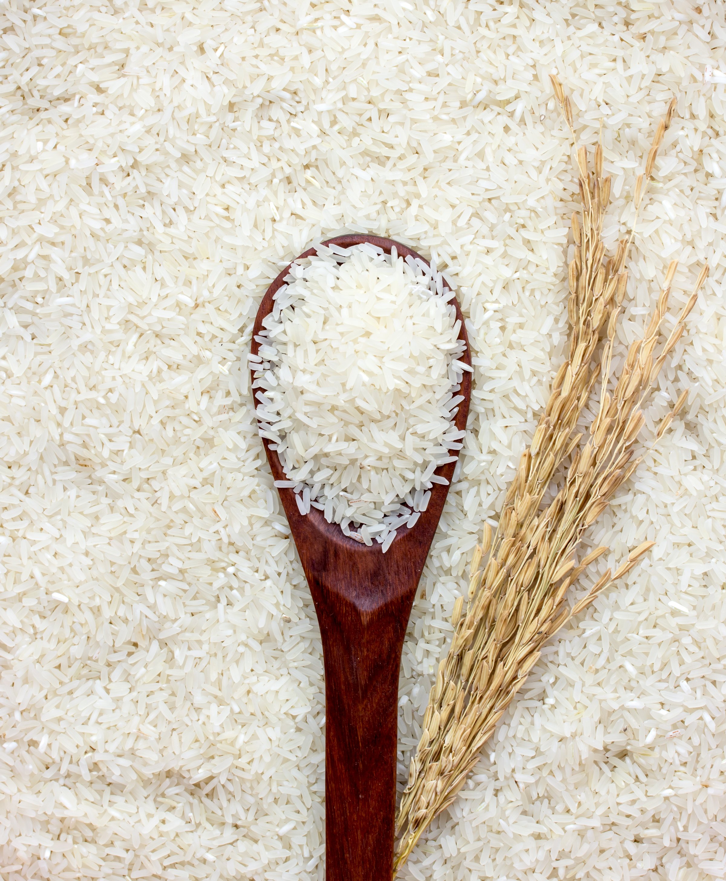 closeup shot of a wooden spoon and Ears of rice