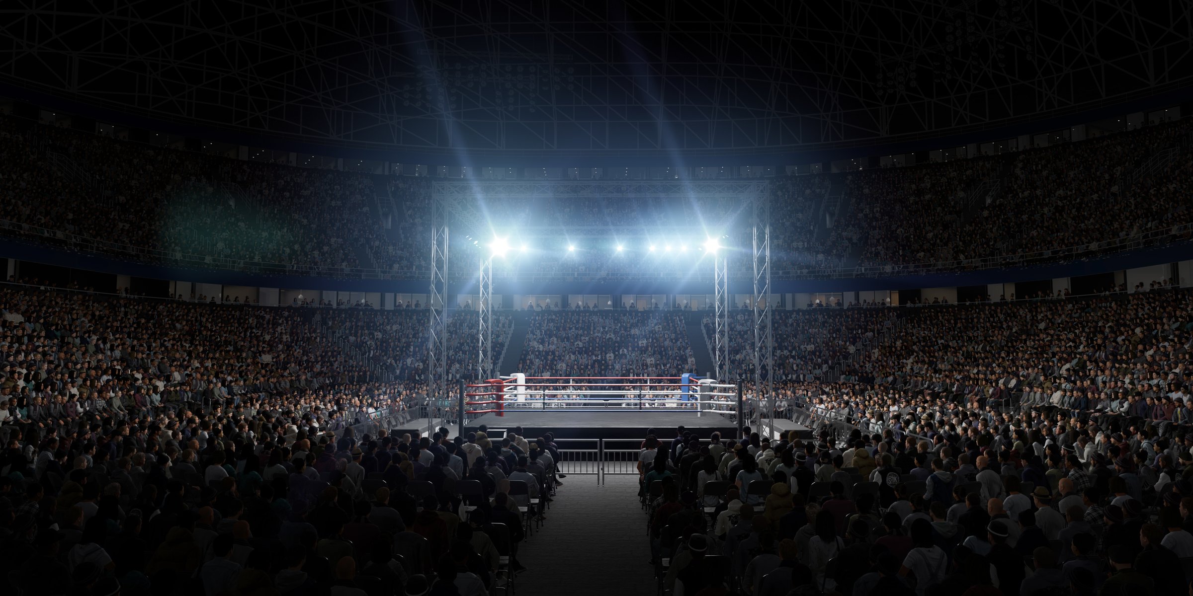 3-D boxing arena