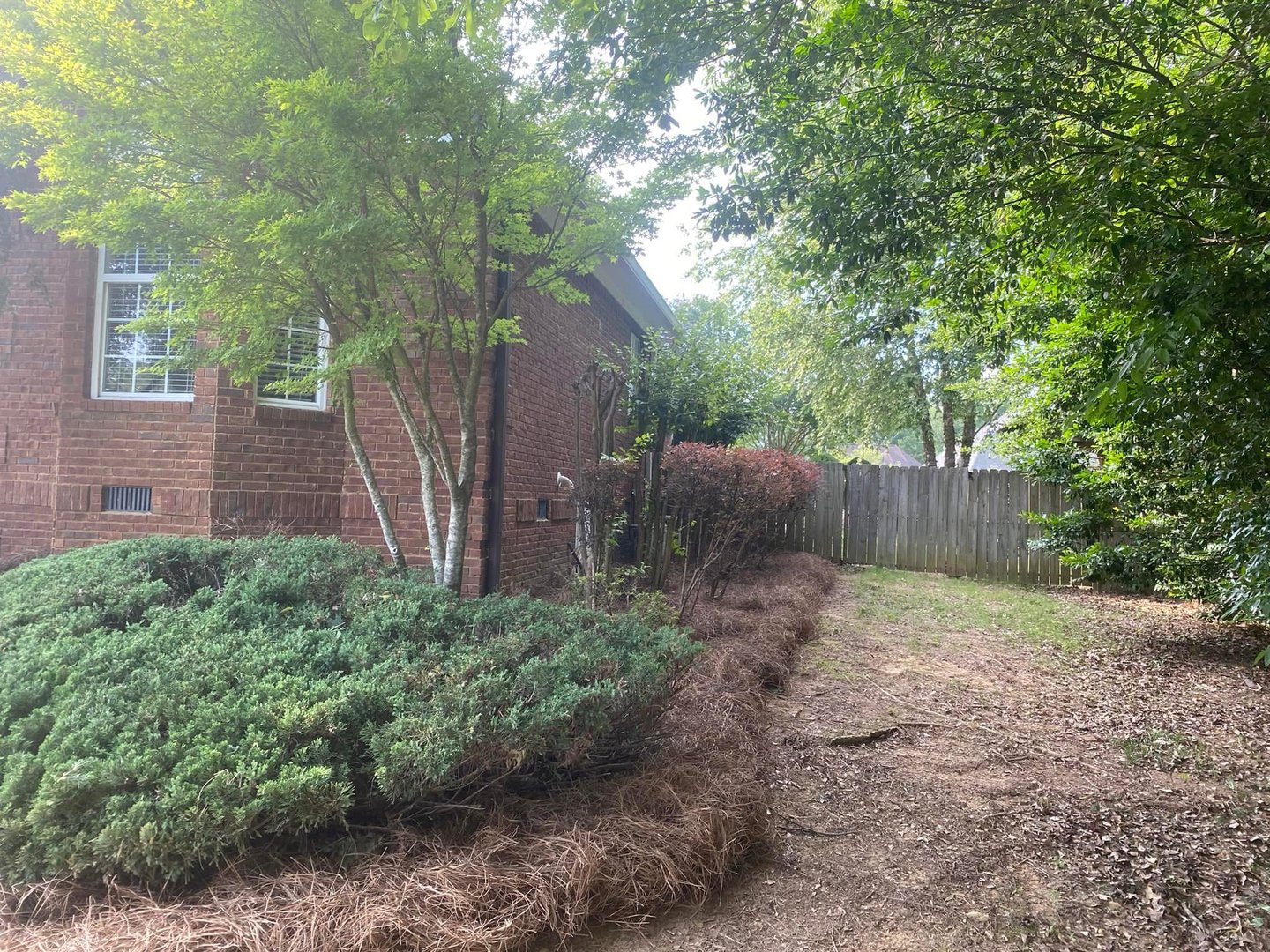 McGlaughn Lawn Care professional work