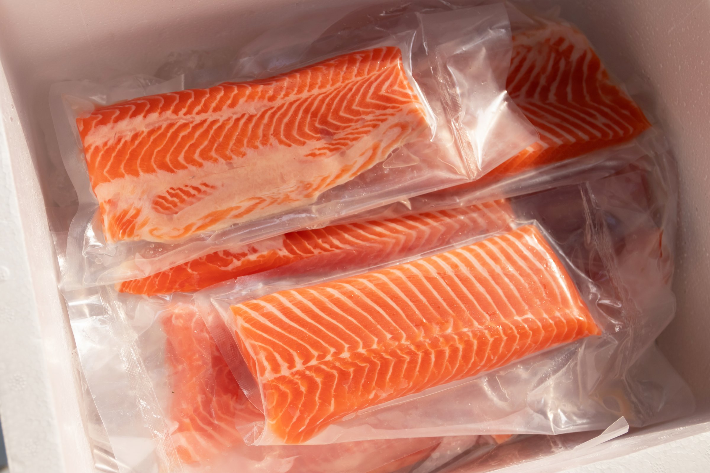 Fresh salmon fillets in vacuum-sealed packaging