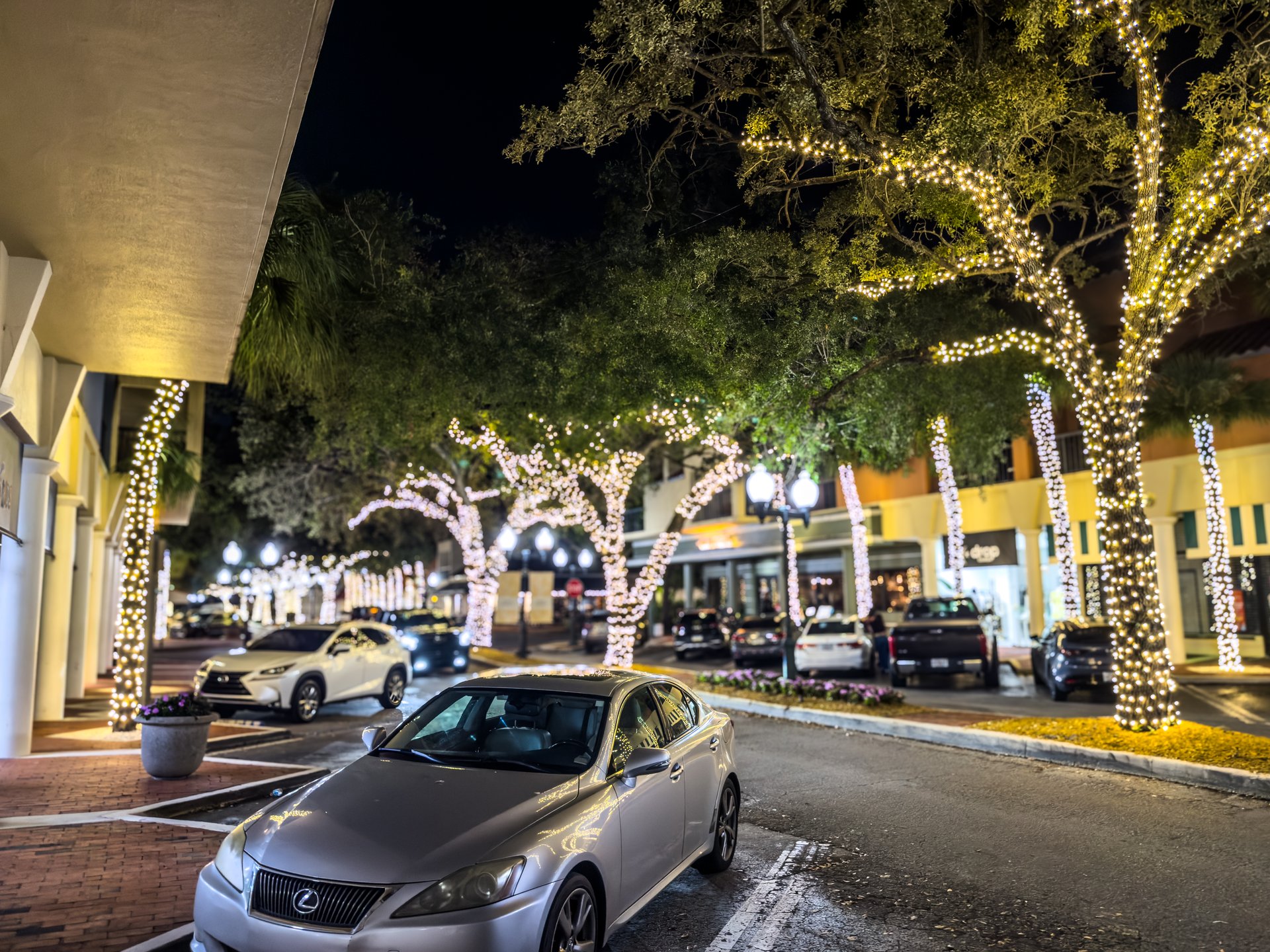 Trees wrapped with fairy lights along street