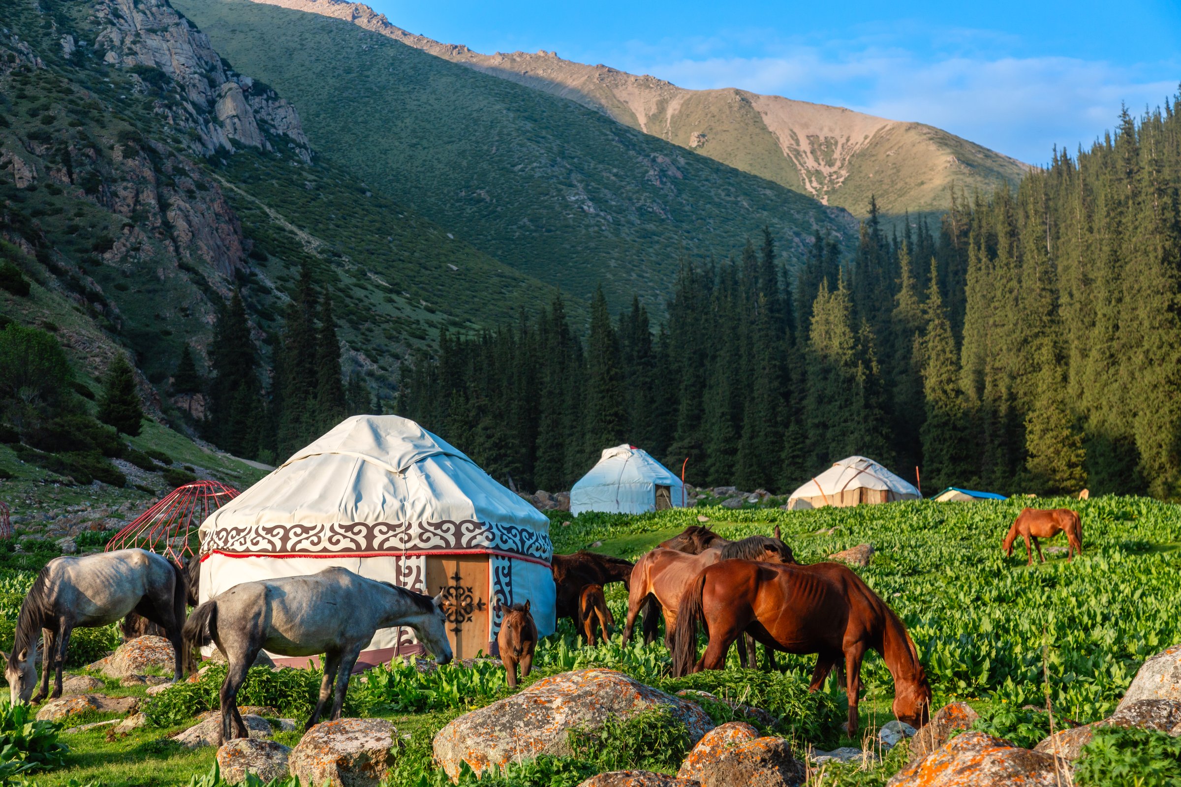 Kyrgyzstan iconic picture. Traditional Kyrgyz yurts with horses in a scenic mountains landscape. Altyn Arashan valley, Karakol city. Nomadic traditions