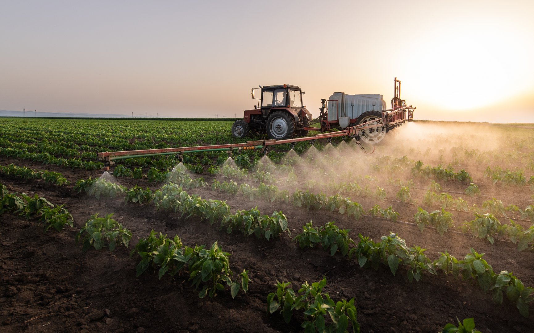 Tractor spraying pesticides on vegetable field  with sprayer at spring