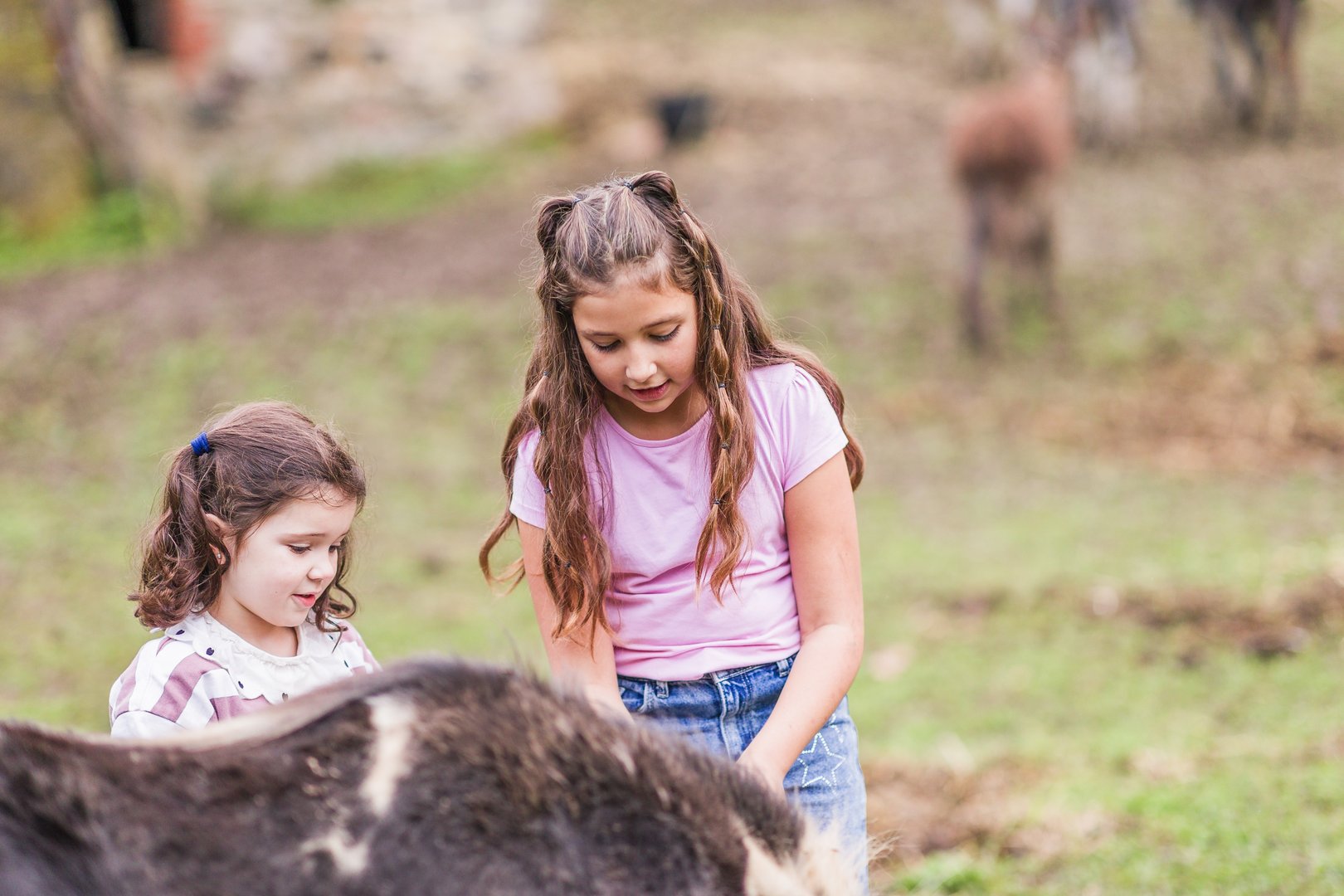 Children caring for animals at Wondering Woods Farm