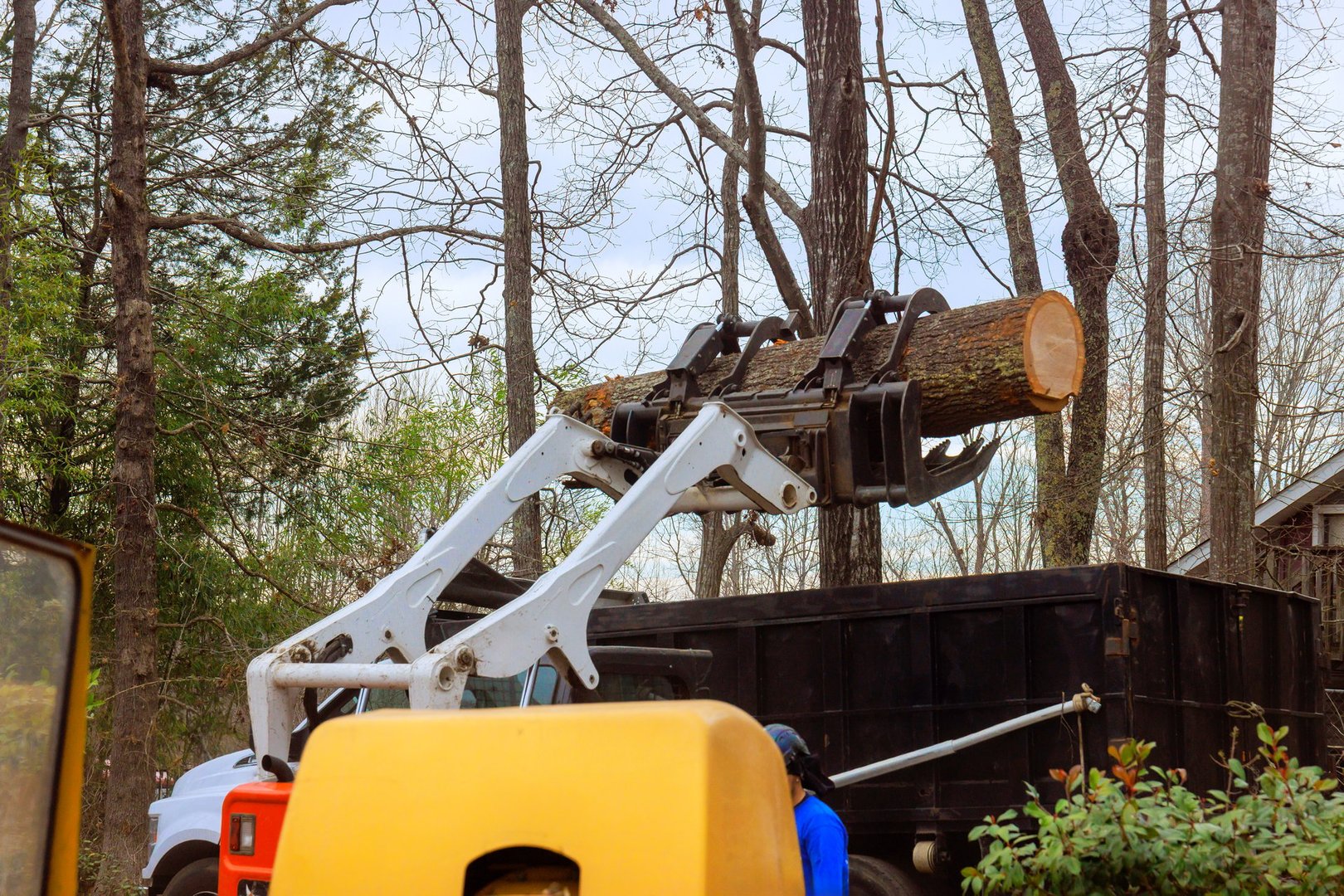 Construction equipment carefully places sizable log into truck while workers manage during deforestation