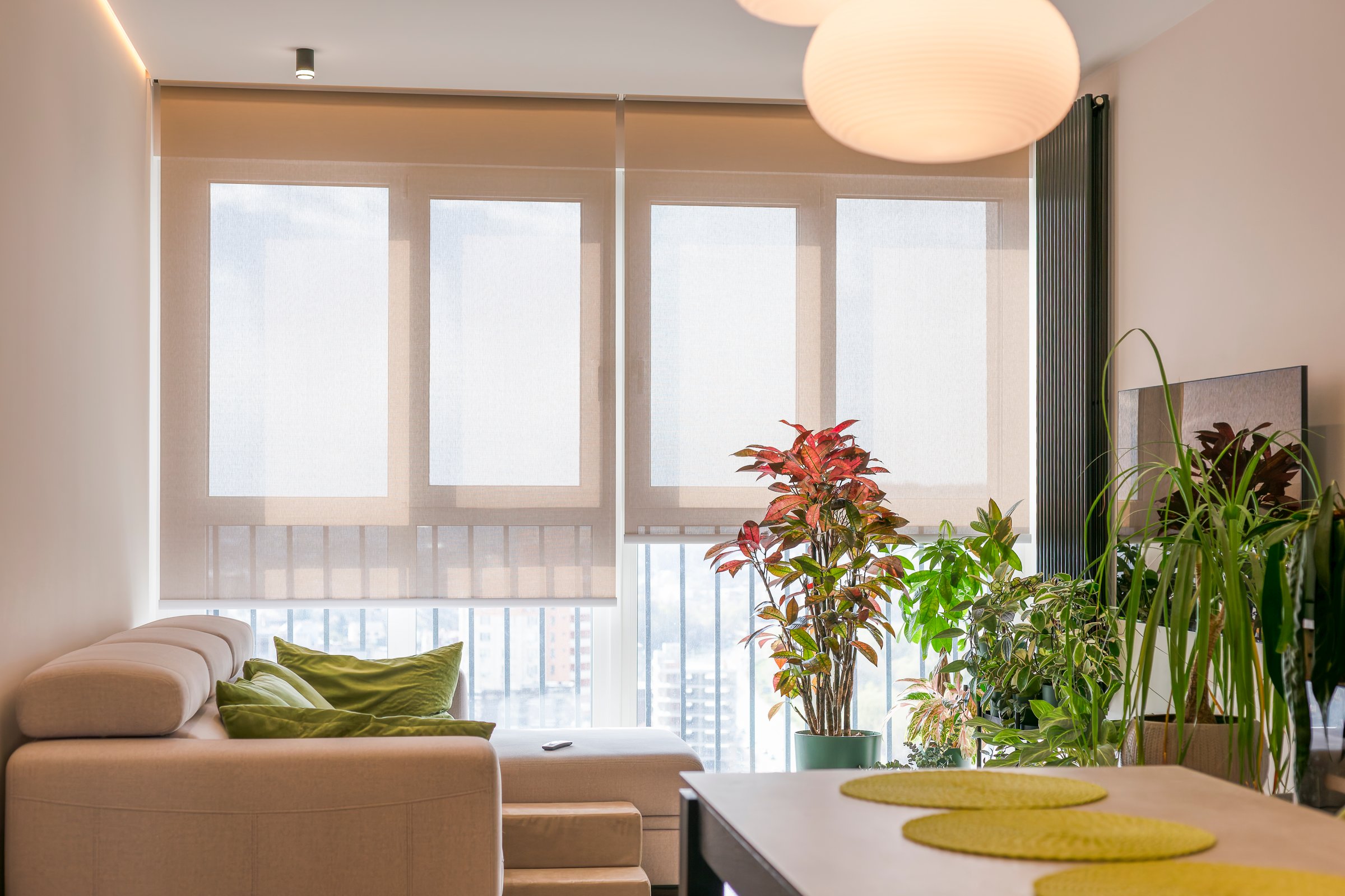 Motorized roller blinds cover large windows in a bright, cozy living room filled with indoor plants. Screen fabric for electric sun shades gently filters natural light. Smart home for shades.