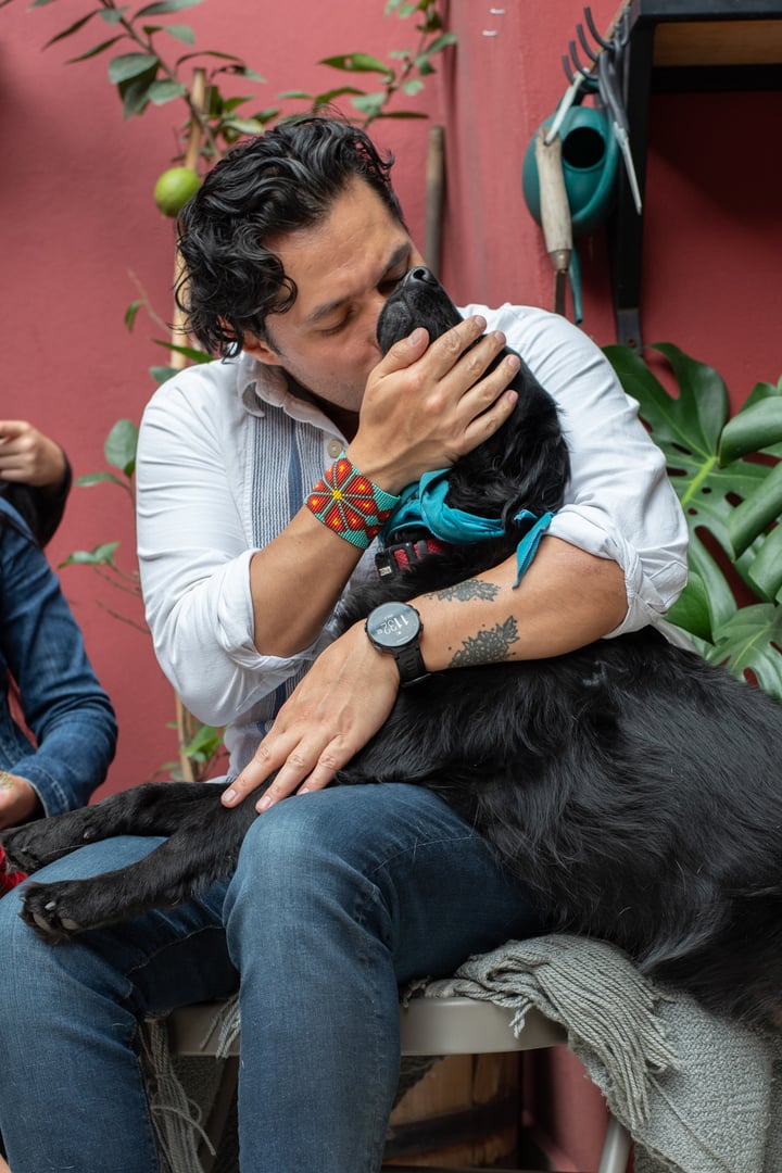 Petstagram_cdmx_58
