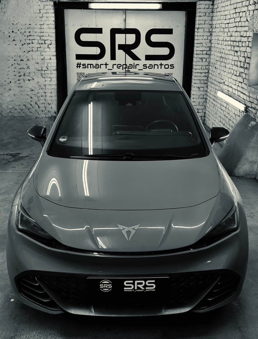 Professionelle Reparatur