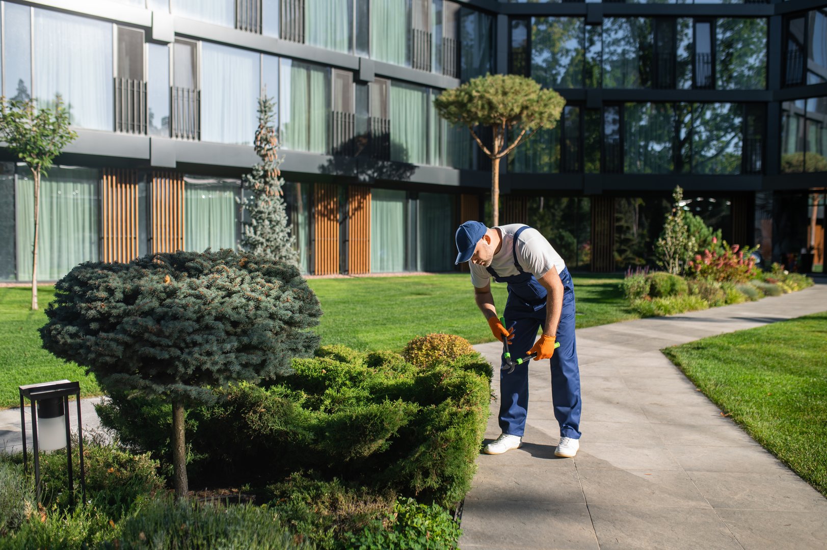 Professional gardener trimming decorative bushes near modern residential building on sunny day