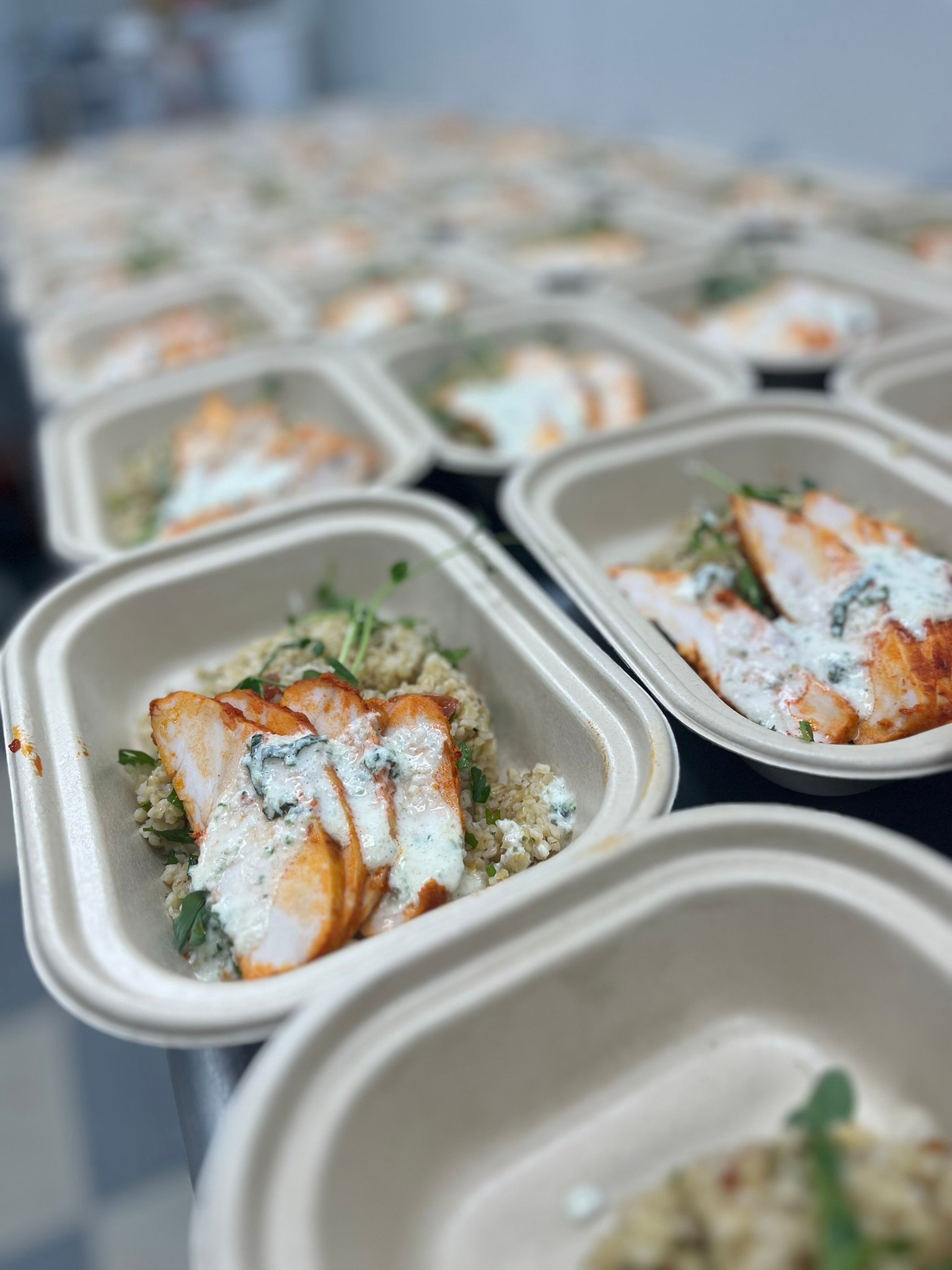 Ember Custom Foods fresh weekly meals