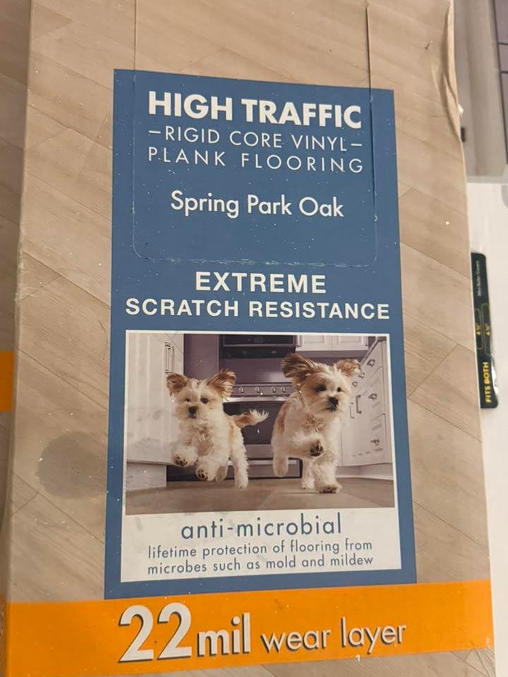 Basement framing and electrical work