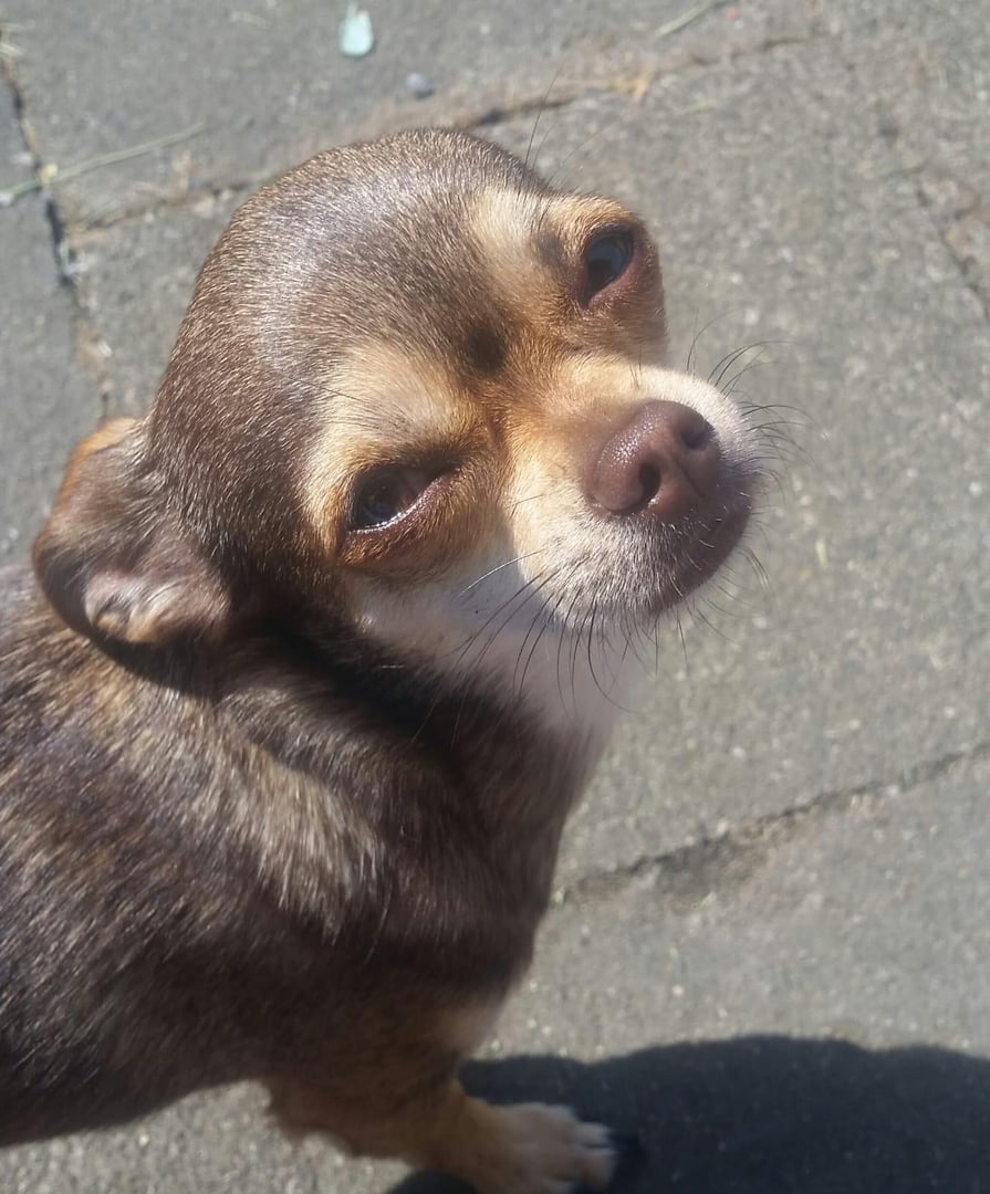 Rettungsgeschichte 11