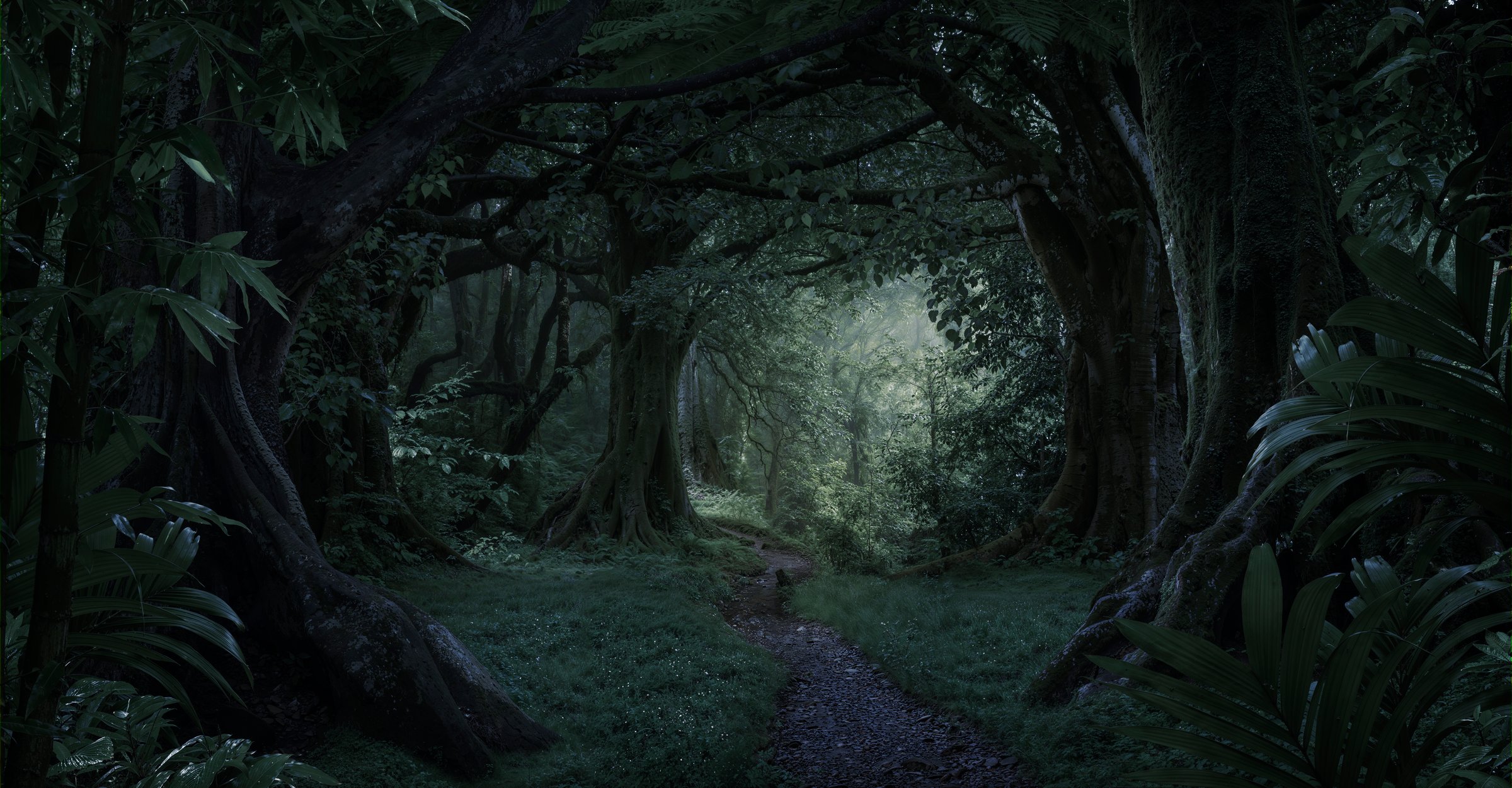 Magical forest in darkness with dark trees