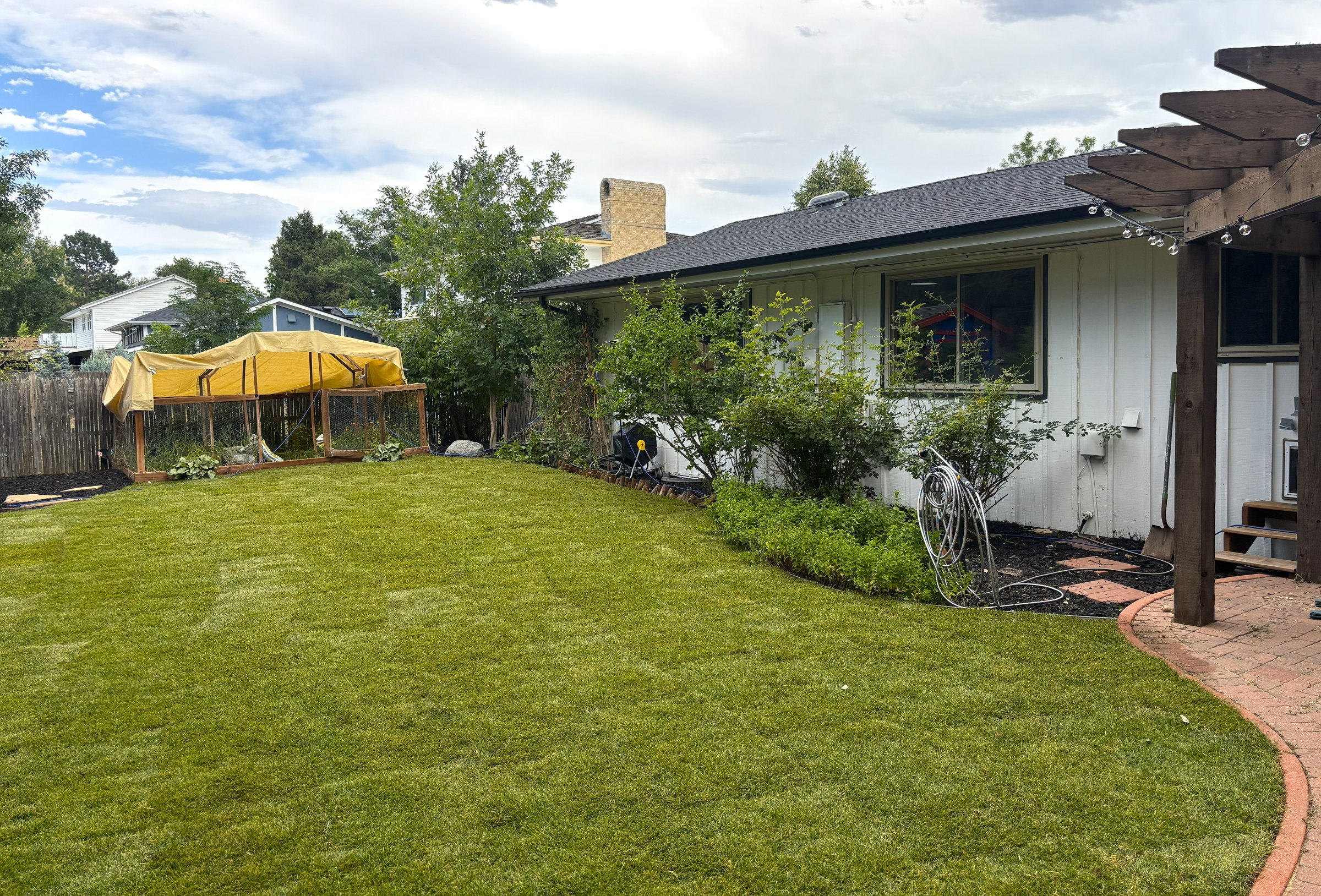 After lawn installation