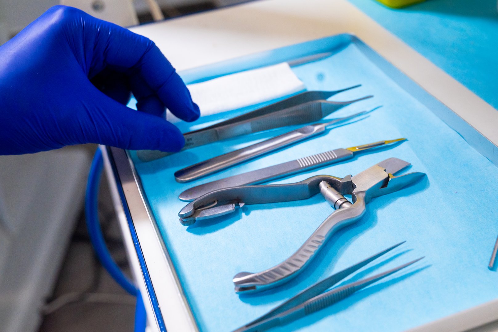 A close-up image of a healthcare professional wearing blue gloves, preparing and arranging surgical instruments on a sterile tray. The image captures the precision and care required in medical procedures, emphasizing the importance of cleanliness, organization, and safety in a clinical setting. The tools, including a scalpel, tweezers, and other specialized instruments, are meticulously arranged, highlighting the readiness for a medical or surgical procedure.