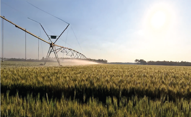 Agribusiness Development