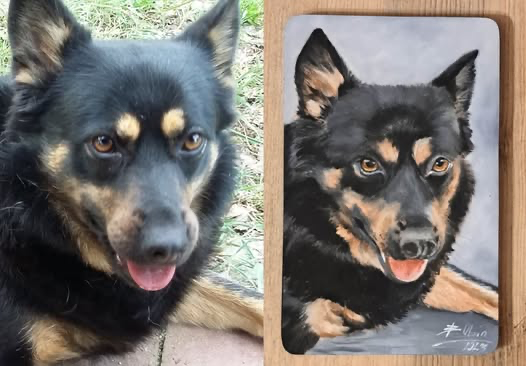 Zrealizowane zamówienie 22