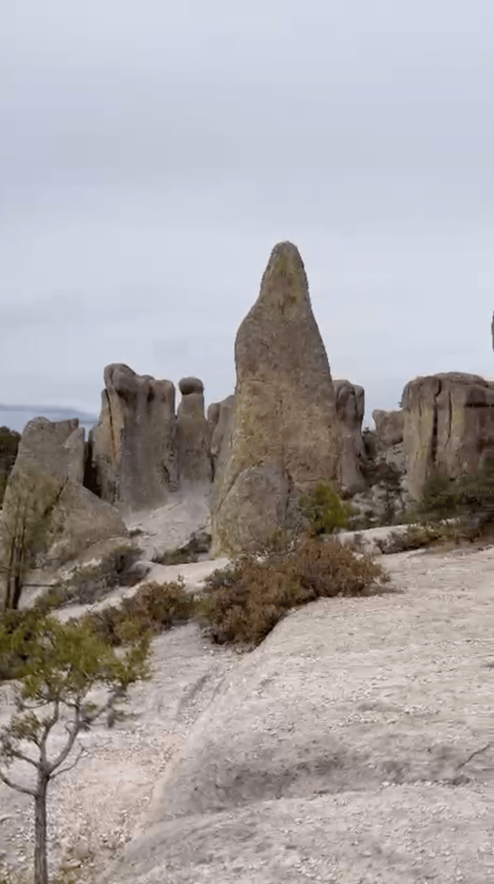 Viaje a Barrancas del Cobre - Emiliano