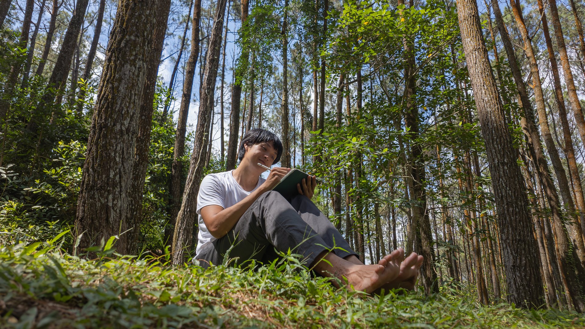 A young asian man wearing a white t-shirt and gray pants is drawing using a digital tablet while sitting on the grass in a lush pine forest in the morning. Remote work concept
