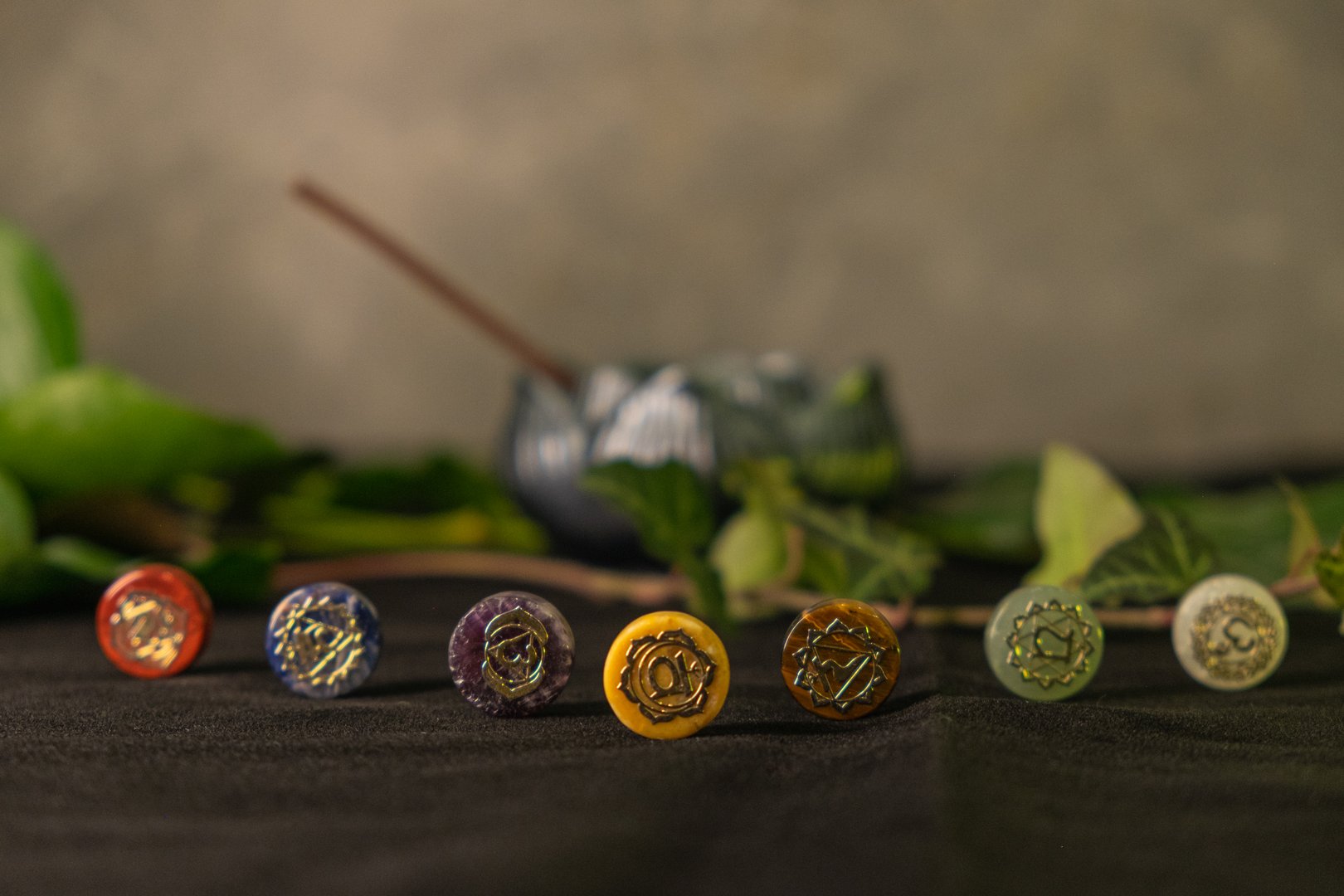 Seven colorful chakra stones rest harmoniously on a dark surface surrounded by lush greenery. Each stone symbolizes a unique energy center, inviting peace and balance into the space.