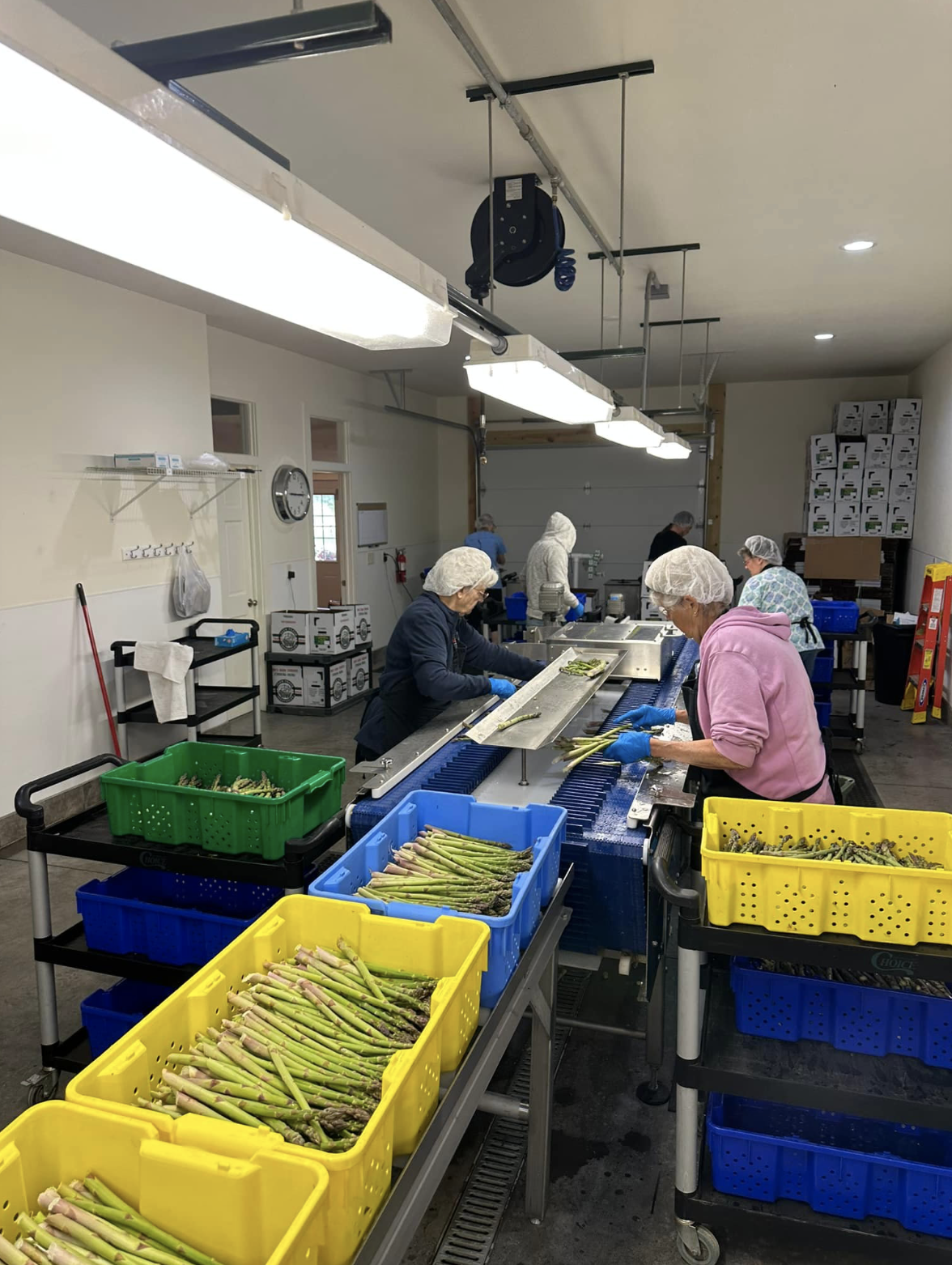 Farm team working together during harvest