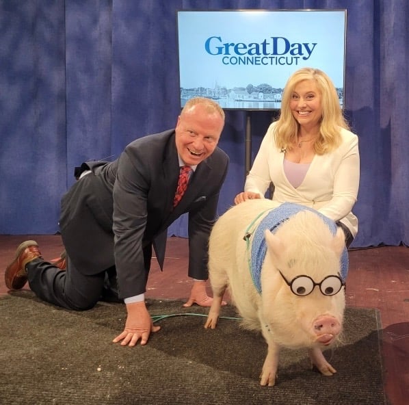 TV studio news backdrop