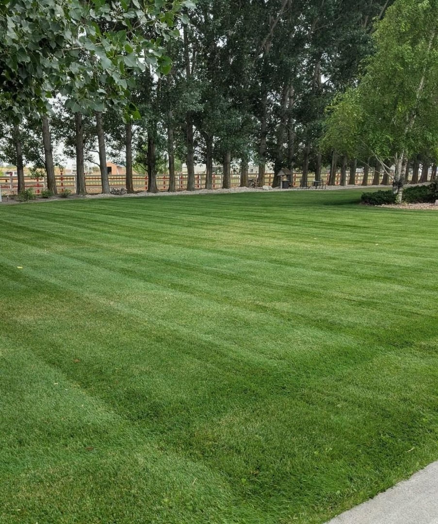 Finished mowing by Green Haven Landscaping