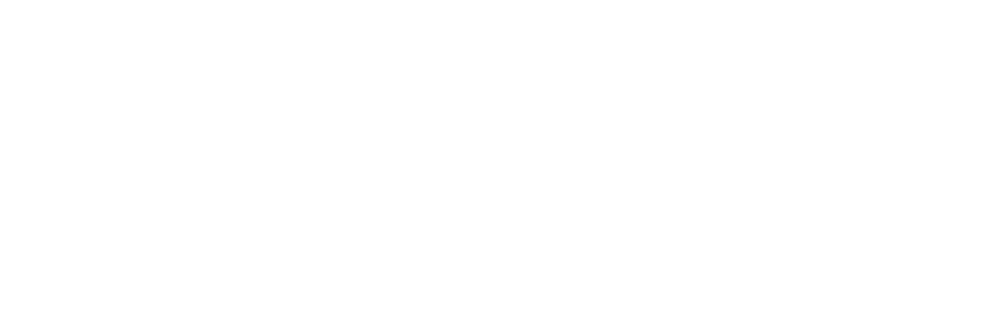 Brady's Capital Projects Logo