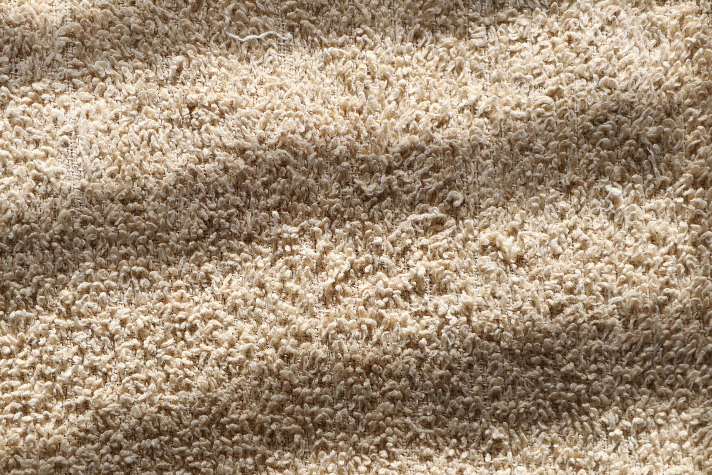 A close-up view of a plush beige carpet texture, showcasing soft fibers and natural lighting effects.