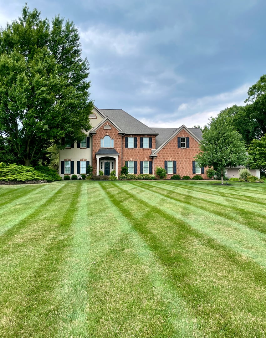 A nicely striped mown green lawn with a house in the background