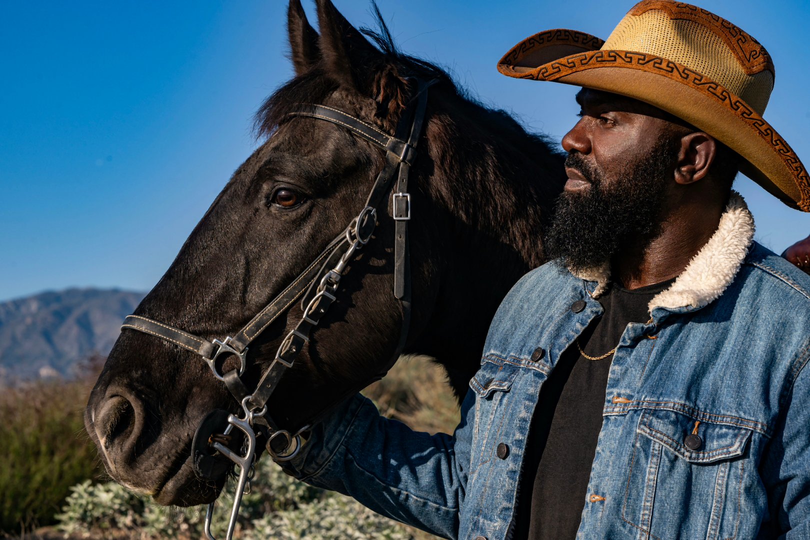 Meet Prince at Saddle Prince Ranch