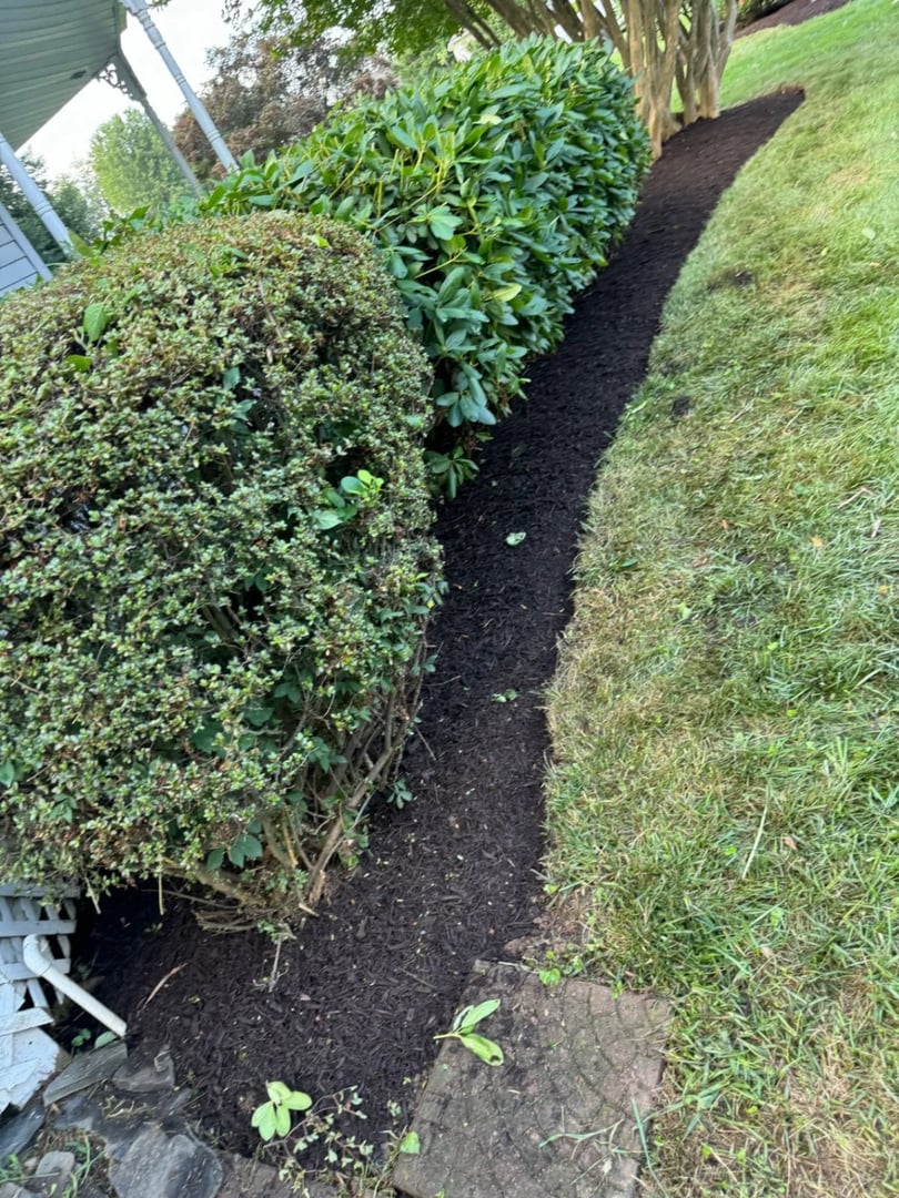Angels Lawn Service mulching project