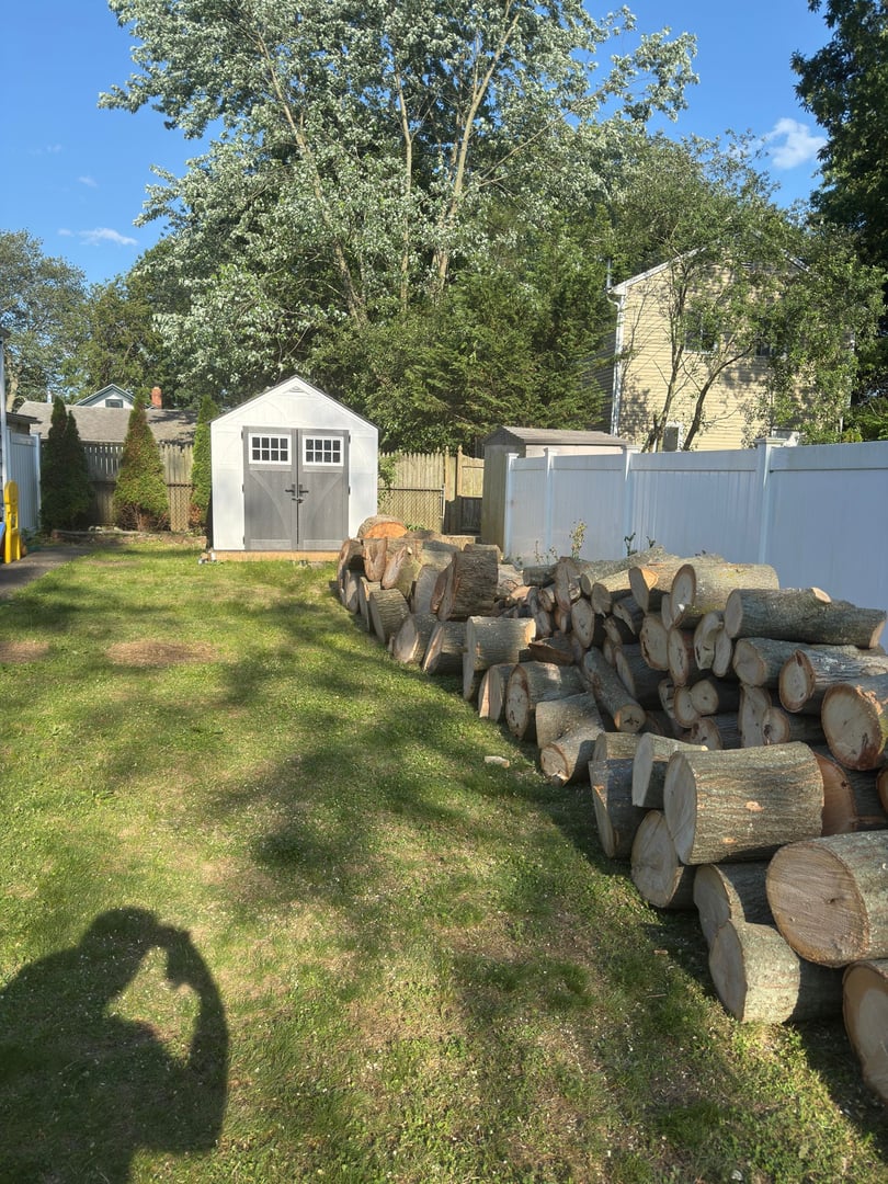 After tree service work