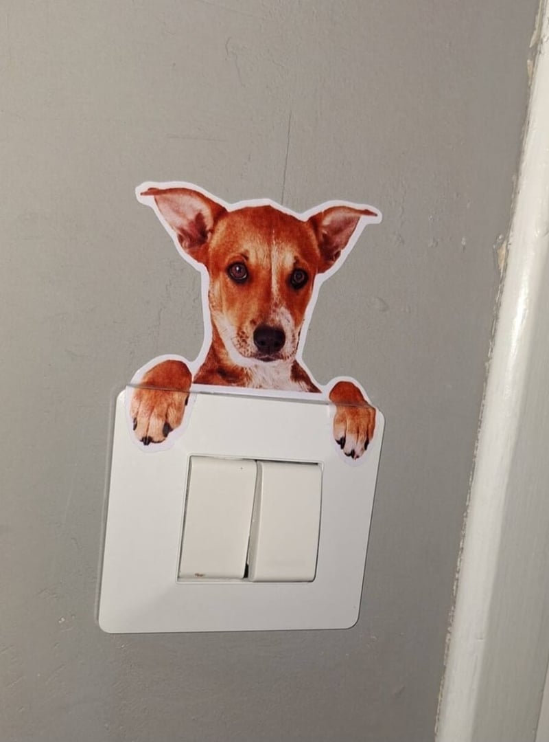 Friendly Home - Esterno