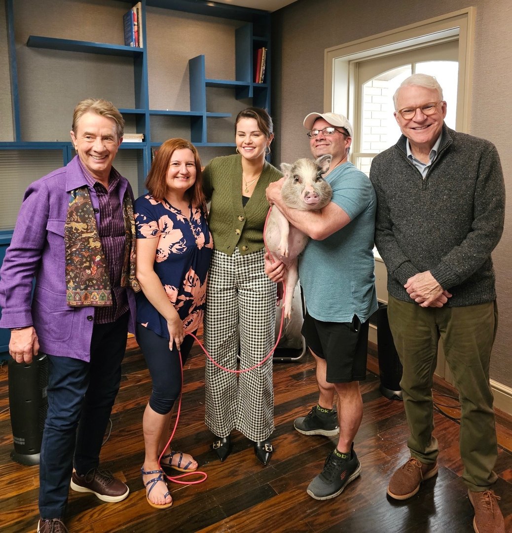 Film and TV production with pigs