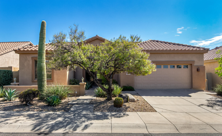 Professional landscaping background