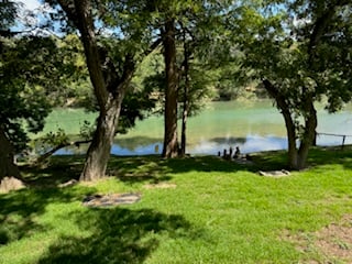A peaceful riverside scene with trees providing shade on a grassy bank, overlooking calm green water under a clear sky.