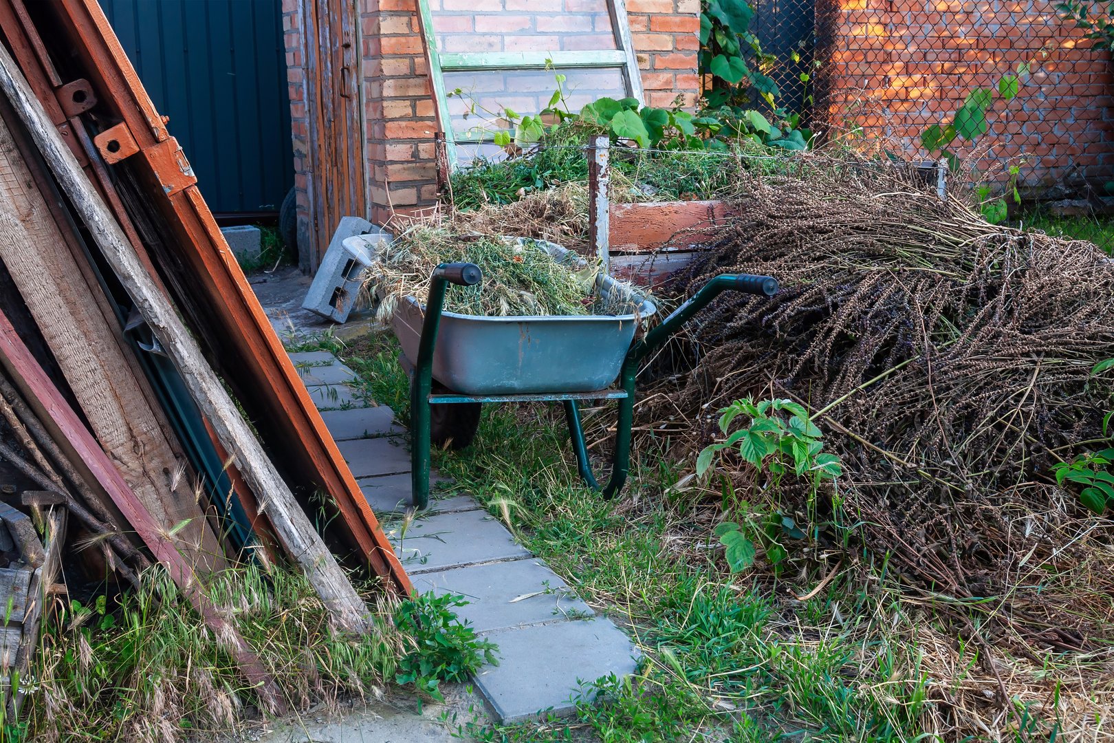 A backyard scene with a wheelbarrow filled with vegetation and a pile of dried plants, creating a rustic and natural atmosphere.