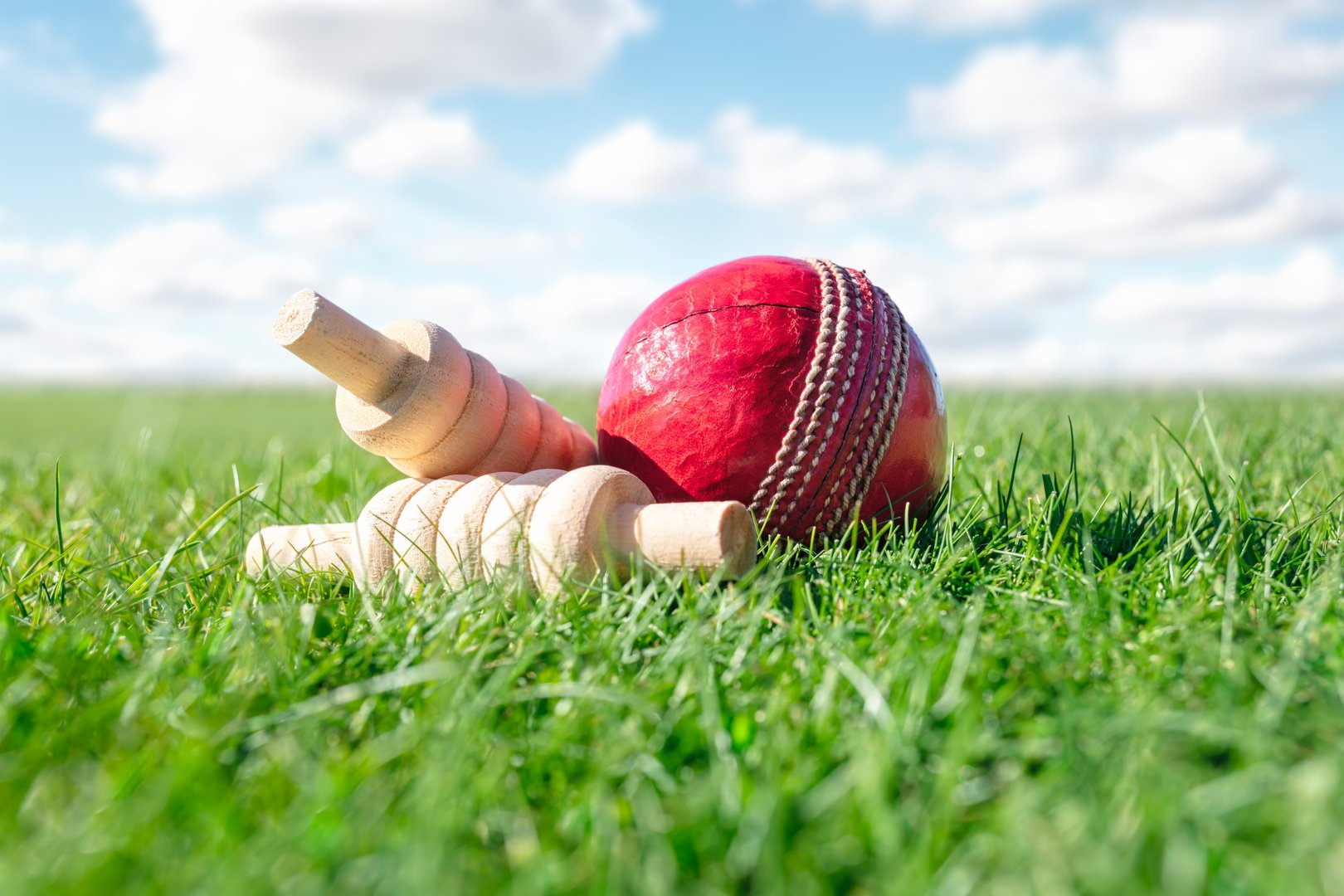 Cricket ball and bails on green grass of cricket ground close up background