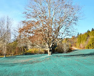 Residential Hydroseeding