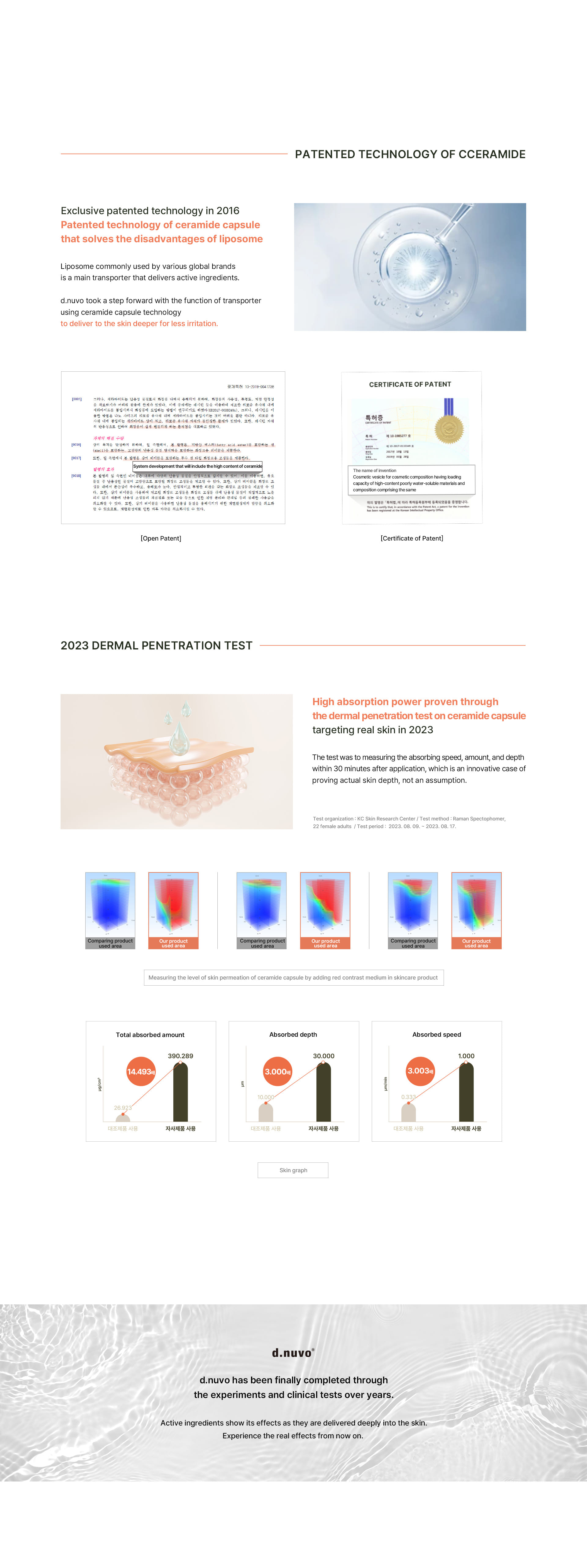 Skin barrier structure and function