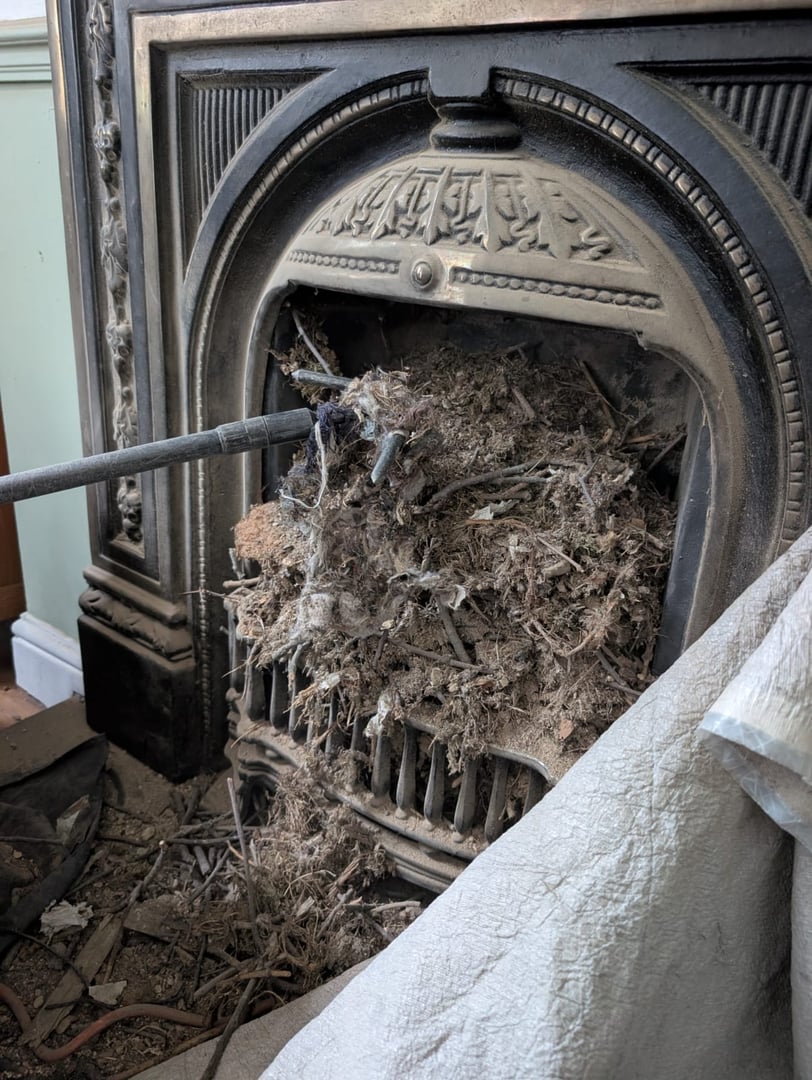 Dangerous chimney buildup despite recent cleaning