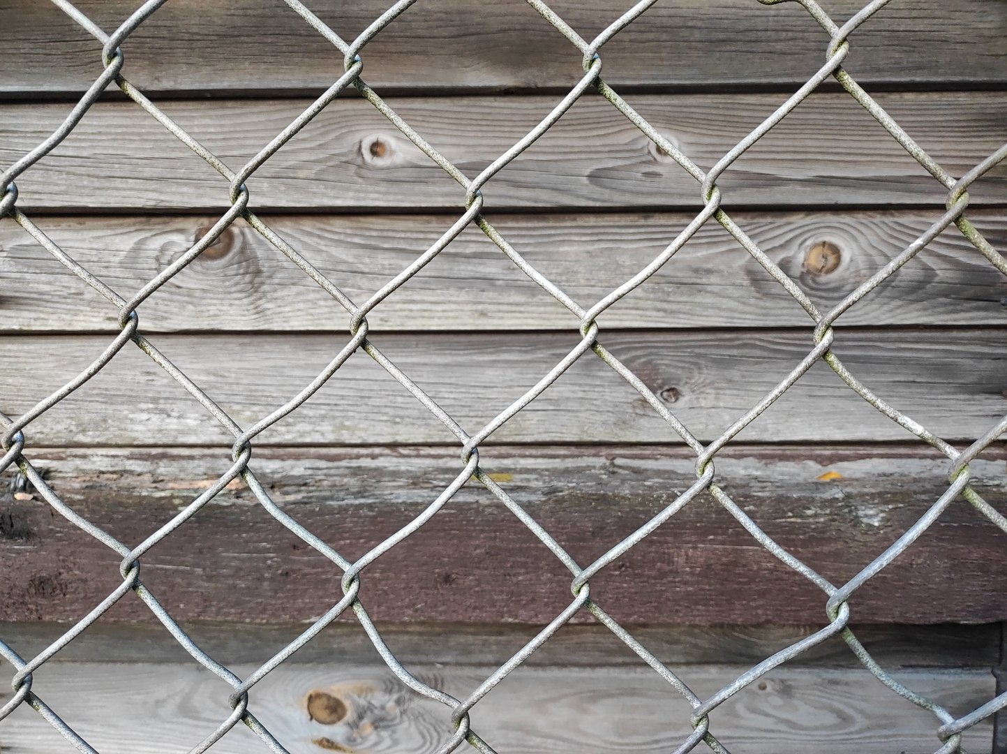 A close-up view shows a chain link fence in the foreground with wooden boards behind it. The texture of the wood contrasts with the metal wires.