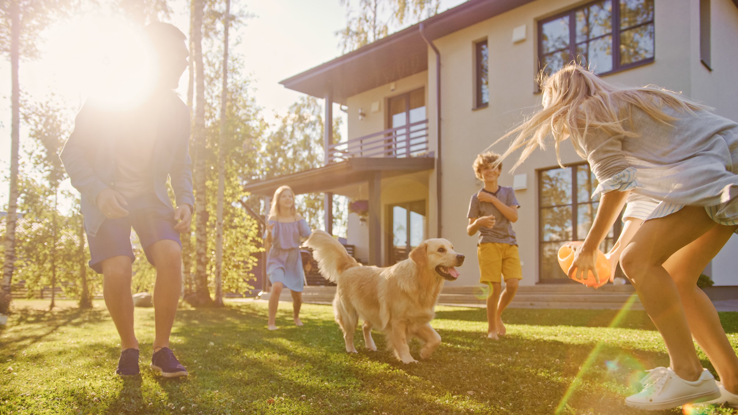 Kids playing with a dog on a green lawn