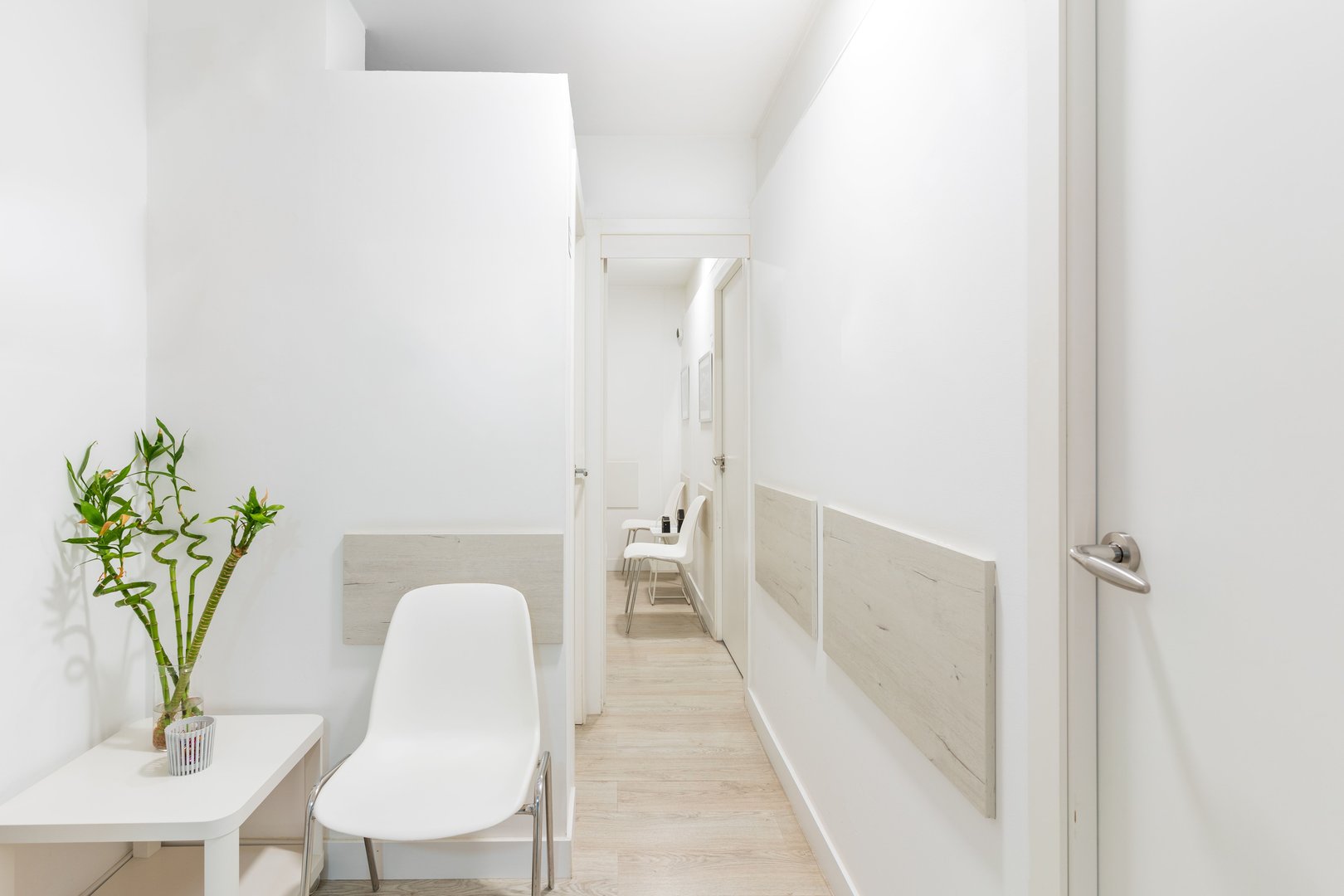 Modern and minimalist waiting area featuring white chairs, a lucky bamboo plant, and a bright, clean aesthetic.