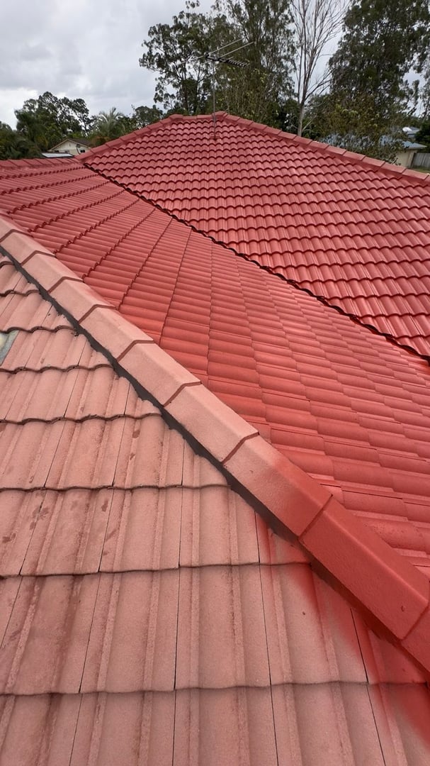 Roof painting service