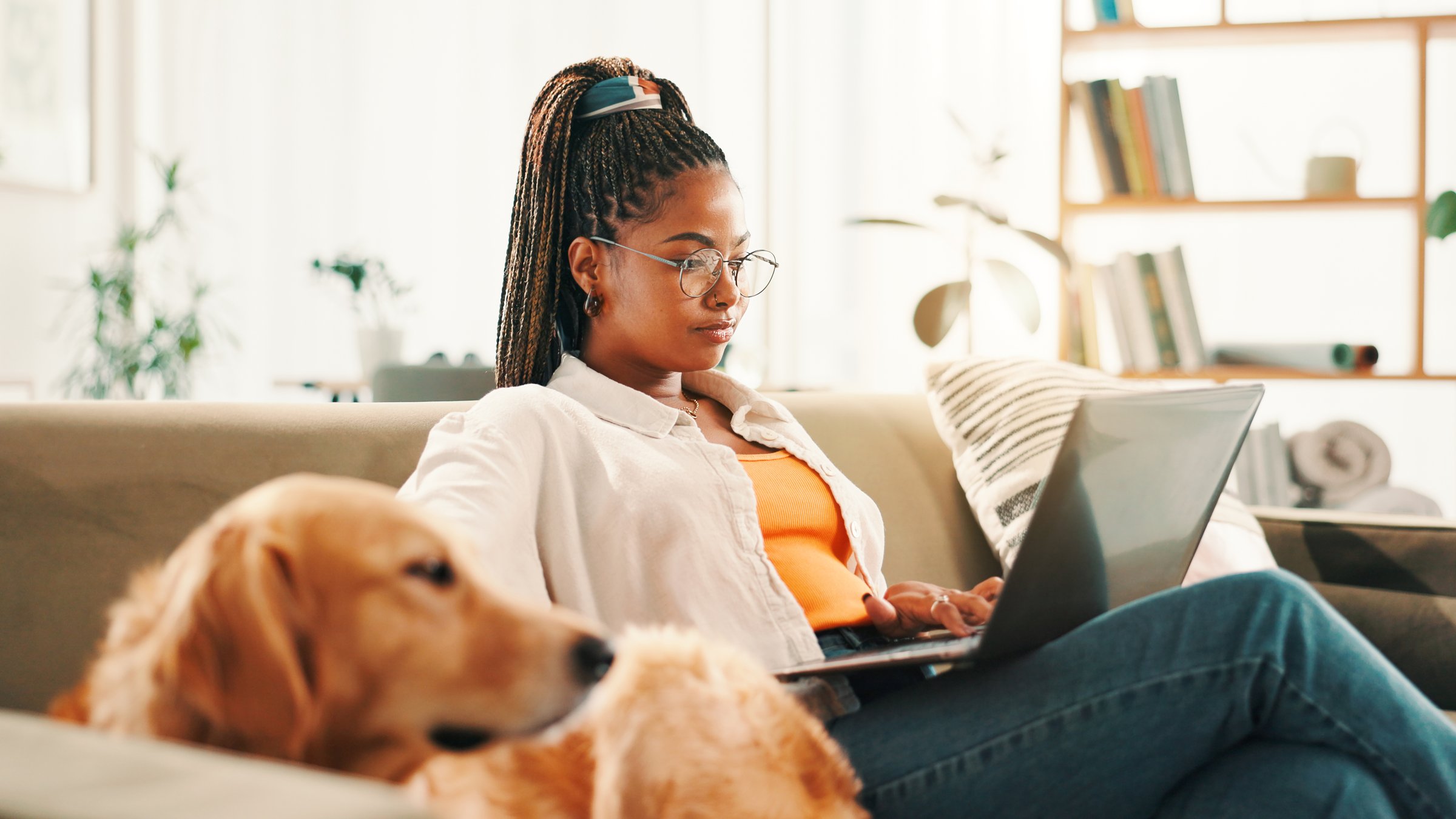 Laptop, relax and woman student with dog on sofa in living room of home for browsing or education. Bonding, computer or learning with labrador and pet owner in apartment for development or study